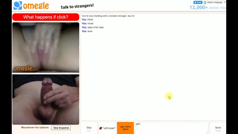 Omegle Porn pussy